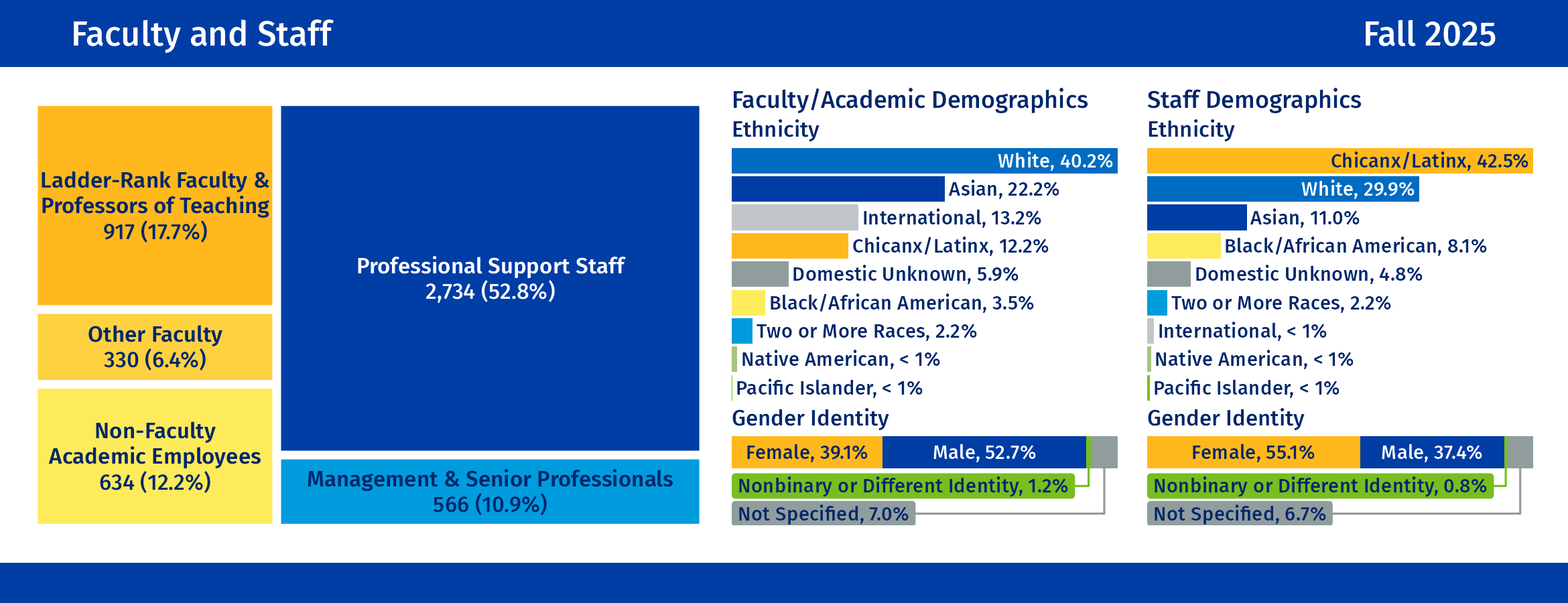 Tree map showing the distribution of faculty and staff by type of position and bar plots displaying faculty and staff demographic information.