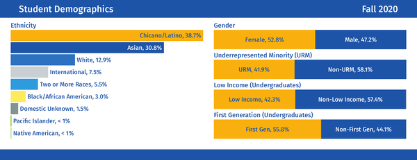 Student Demographics